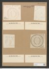 Campylodiscus schleinitzii Jan. (de-Toni-Nr.: Genus 57, Species 2500) Zeichnungen Sammlung Grunow Nr. 5005 (NHMW-BOT-W0373253)